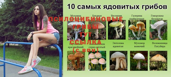 ALPHA PVP Алексин