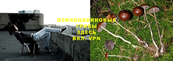 мяу мяу кристалл Алзамай