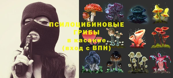 ALPHA PVP Алексин