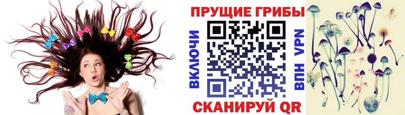 Псилоцибиновые грибы Magic Shrooms  Светлоград 