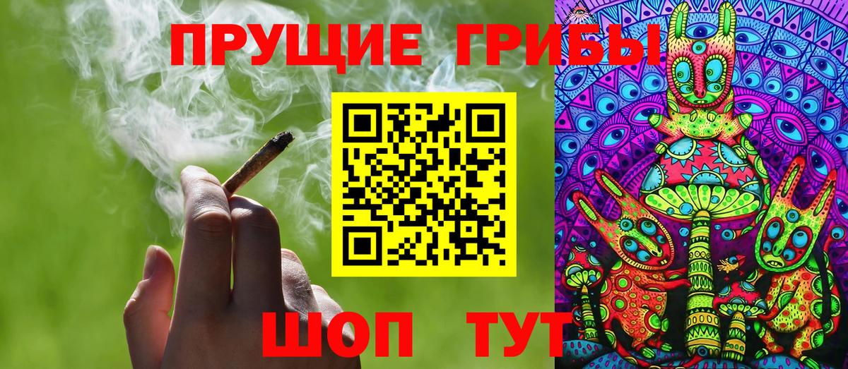 Псилоцибиновые грибы Psilocybe Светлоград