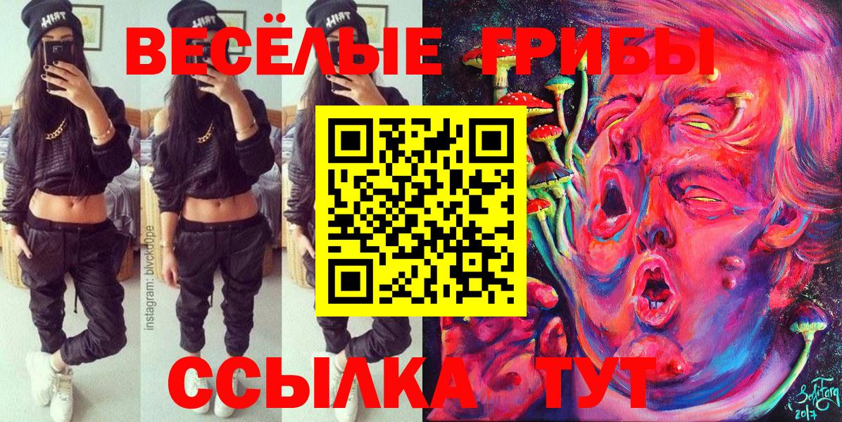 Светлоград  Псилоцибиновые грибы прущие грибы  Вход с VPN  купить   Галлюциногенные грибы Psilocybe 